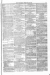 Blandford and Wimborne Telegram Friday 26 February 1875 Page 11