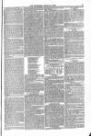 Blandford and Wimborne Telegram Friday 12 March 1875 Page 9