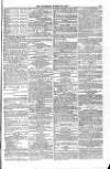 Blandford and Wimborne Telegram Friday 19 March 1875 Page 11