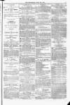 Blandford and Wimborne Telegram Friday 23 April 1875 Page 7