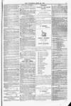 Blandford and Wimborne Telegram Friday 23 April 1875 Page 9