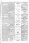 Blandford and Wimborne Telegram Friday 30 April 1875 Page 9