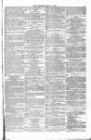 Blandford and Wimborne Telegram Friday 14 May 1875 Page 11