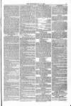 Blandford and Wimborne Telegram Friday 21 May 1875 Page 7
