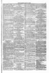 Blandford and Wimborne Telegram Friday 28 May 1875 Page 11