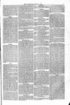 Blandford and Wimborne Telegram Friday 11 June 1875 Page 3