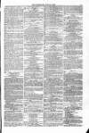 Blandford and Wimborne Telegram Friday 11 June 1875 Page 11