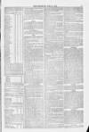 Blandford and Wimborne Telegram Friday 18 June 1875 Page 5