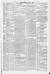 Blandford and Wimborne Telegram Friday 18 June 1875 Page 9