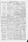 Blandford and Wimborne Telegram Friday 25 June 1875 Page 7