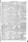 Blandford and Wimborne Telegram Friday 25 June 1875 Page 11