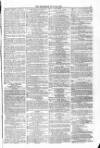 Blandford and Wimborne Telegram Friday 23 July 1875 Page 11