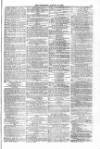 Blandford and Wimborne Telegram Friday 13 August 1875 Page 11