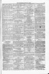 Blandford and Wimborne Telegram Friday 27 August 1875 Page 11