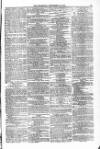 Blandford and Wimborne Telegram Friday 10 September 1875 Page 11
