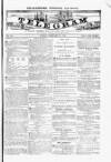 Blandford and Wimborne Telegram Friday 18 February 1876 Page 1