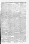Blandford and Wimborne Telegram Friday 18 February 1876 Page 5
