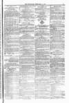 Blandford and Wimborne Telegram Friday 18 February 1876 Page 11