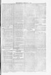 Blandford and Wimborne Telegram Friday 25 February 1876 Page 3