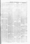 Blandford and Wimborne Telegram Friday 25 February 1876 Page 5