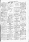 Blandford and Wimborne Telegram Friday 25 February 1876 Page 7