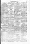 Blandford and Wimborne Telegram Friday 21 April 1876 Page 11