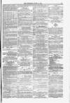 Blandford and Wimborne Telegram Friday 16 June 1876 Page 11