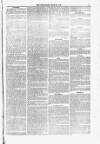 Blandford and Wimborne Telegram Friday 30 June 1876 Page 5