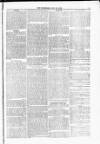 Blandford and Wimborne Telegram Friday 21 July 1876 Page 9