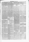 Blandford and Wimborne Telegram Friday 28 July 1876 Page 5