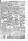 Blandford and Wimborne Telegram Friday 11 August 1876 Page 11