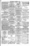 Blandford and Wimborne Telegram Friday 10 November 1876 Page 11