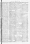 Blandford and Wimborne Telegram Friday 23 February 1877 Page 3