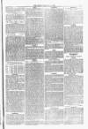 Blandford and Wimborne Telegram Friday 04 May 1877 Page 5
