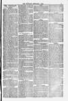 Blandford and Wimborne Telegram Friday 01 February 1878 Page 3