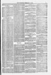 Blandford and Wimborne Telegram Friday 15 February 1878 Page 9