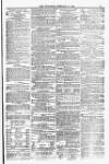 Blandford and Wimborne Telegram Friday 15 February 1878 Page 11