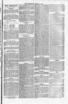 Blandford and Wimborne Telegram Friday 01 March 1878 Page 3