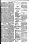 Blandford and Wimborne Telegram Friday 01 March 1878 Page 9