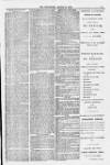 Blandford and Wimborne Telegram Friday 29 March 1878 Page 9