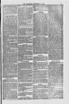 Blandford and Wimborne Telegram Friday 27 December 1878 Page 5