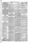 Blandford and Wimborne Telegram Friday 27 June 1879 Page 9