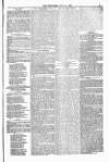 Blandford and Wimborne Telegram Friday 18 July 1879 Page 5