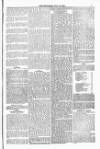 Blandford and Wimborne Telegram Friday 18 July 1879 Page 7