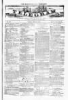 Blandford and Wimborne Telegram Friday 25 July 1879 Page 1