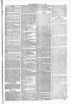 Blandford and Wimborne Telegram Friday 25 July 1879 Page 7