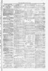 Blandford and Wimborne Telegram Friday 25 July 1879 Page 11
