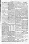 Blandford and Wimborne Telegram Friday 15 August 1879 Page 3