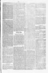 Blandford and Wimborne Telegram Friday 15 August 1879 Page 9