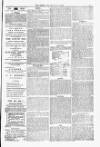 Blandford and Wimborne Telegram Friday 22 August 1879 Page 3